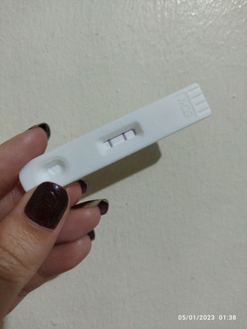 Pregnancy test