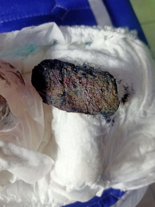 PUP bayi 6 bulan berwarna hitam