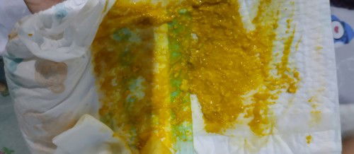 Pup bayi 1 bulan lebih