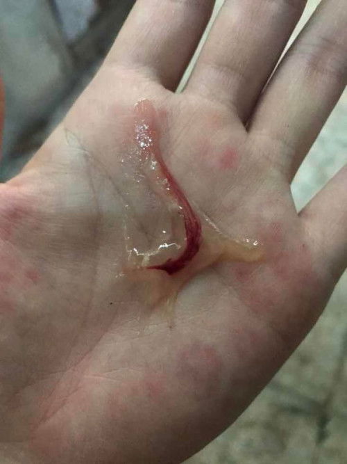 มีมุกออกมาเมื่อไม่กี่นาทีนี้เมื่อไหร่จะคลอดค่ะ