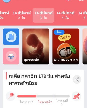 ขอสอบถามหน่อยค่ะทุกคน คือย่างเข้าไตรมาสที่2 14สัปดาห์กับ3วันคืออายุครรภ์กี่เดือนคะ นับไม่เป็นคะ