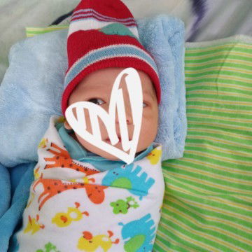 HPL 18 MEI LAHIR 8 MEI