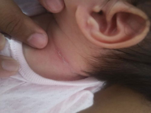 bun tolong bantu jawab 🙏