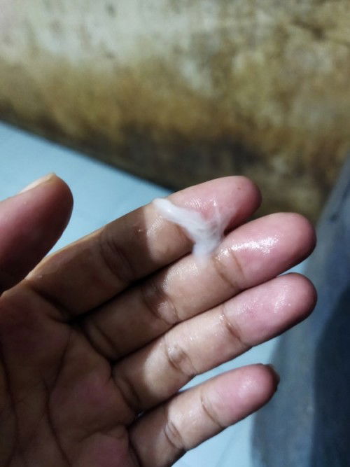 ทีม8มิถุนายน