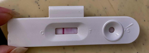 Am i Pregnant?