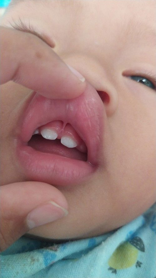 Maaf bund mau bertanya