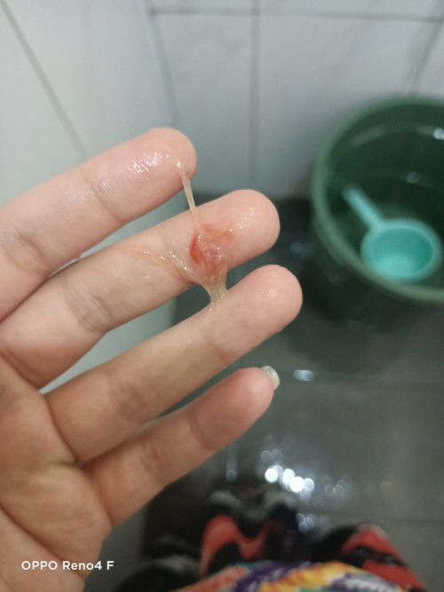 Halo bun aku hpl 29 mei 2023