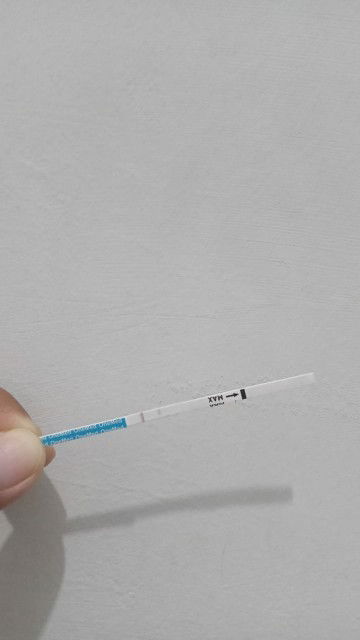 Apakah ini Hamil atau tidak?