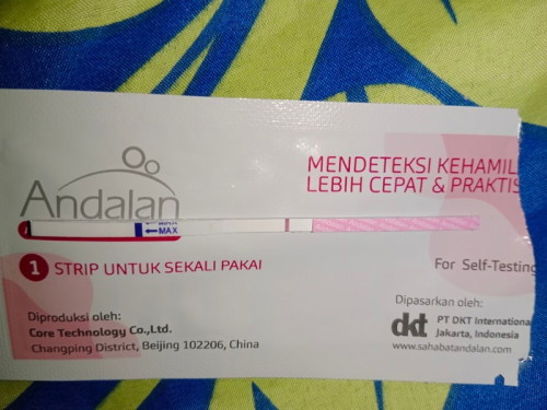 Bun mau tanya Hpht tgl 15 april dan haid berikutnya 13 mei.. Tpi blum haid DiTp garis 1