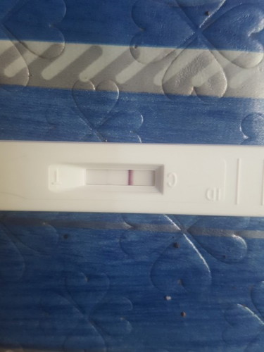 Pregnancy test