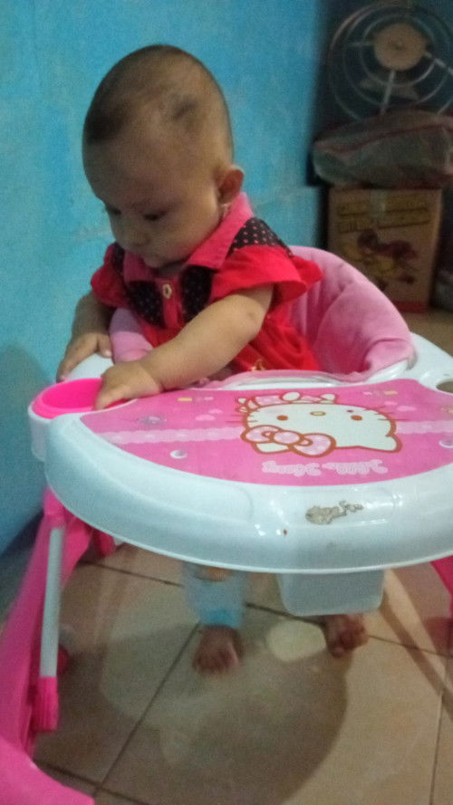 Di belin bapak nya soalnya udah suka bediri sendiri..