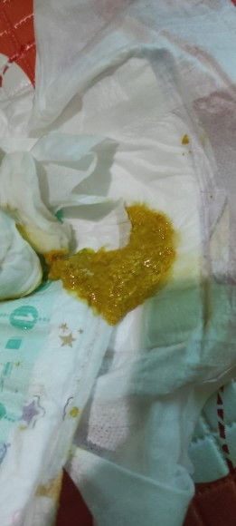 Pup bayi usia 22 hari