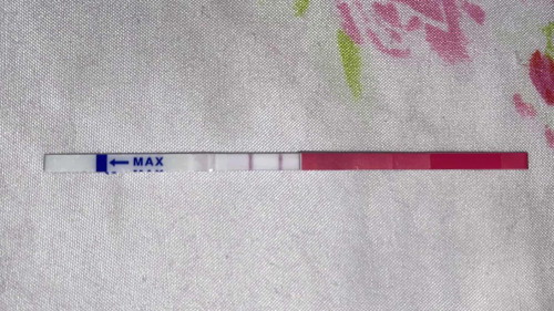 PCOS (OPK)