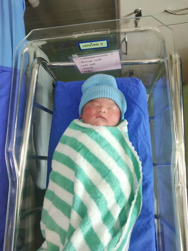 ไอ้ต้าวอ้วนของแม่