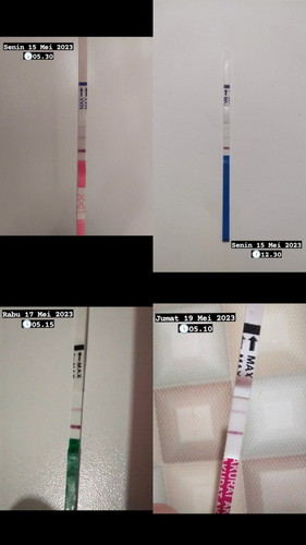 Hasil Testpack