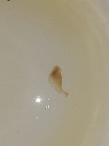 Mucus or not?