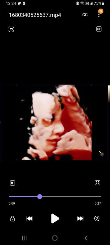 ทีมมิถุนายน