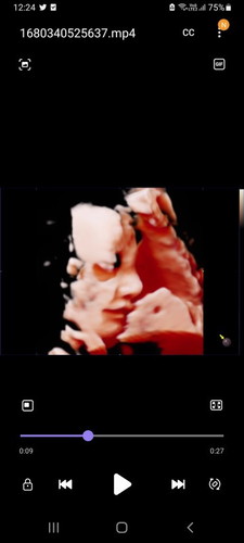 ทีมมิถุนายน