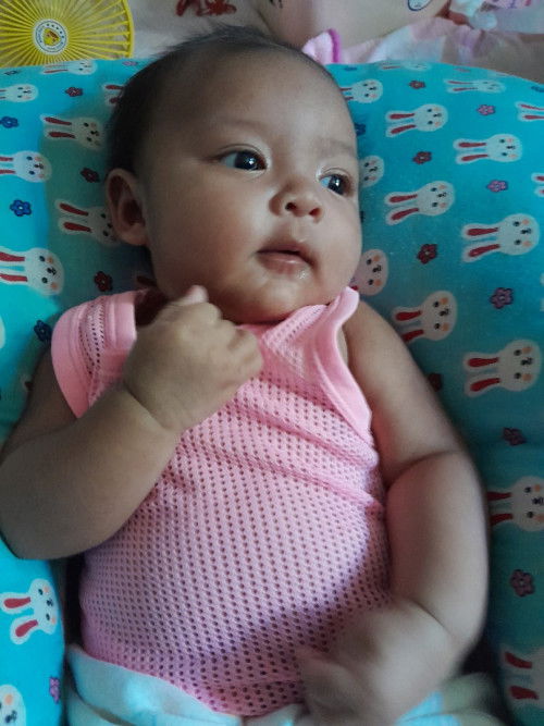 หาเสื้อผ้าให้น้องอายุ2เดือน