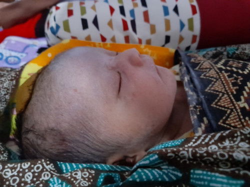 HPL 24 mei lahir 15 mei