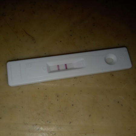 Pregnancy test