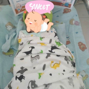 Hpl 28 Mei Lahir 17 Mei