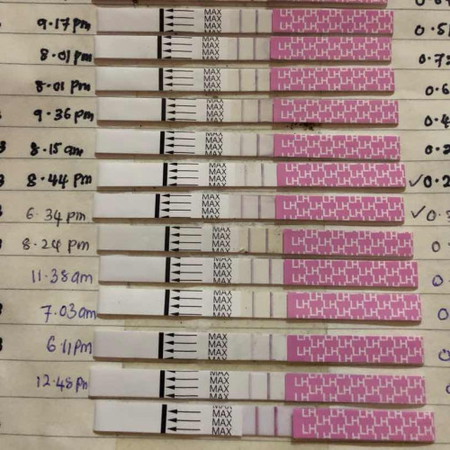 mau tanya tntg opk