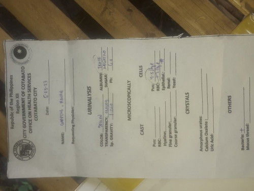 Hello po itatanong ko lang po ano po ang ibig sabihin ng nakasulat sa resulta ng check up ko po