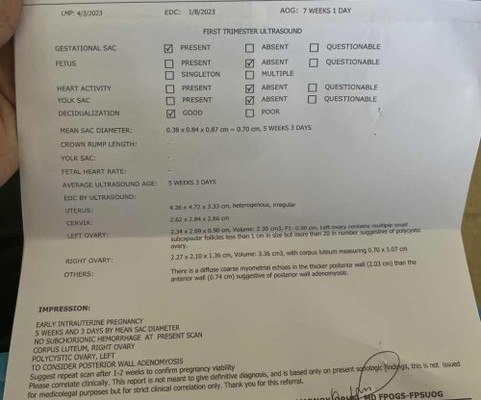 TransV first trimester