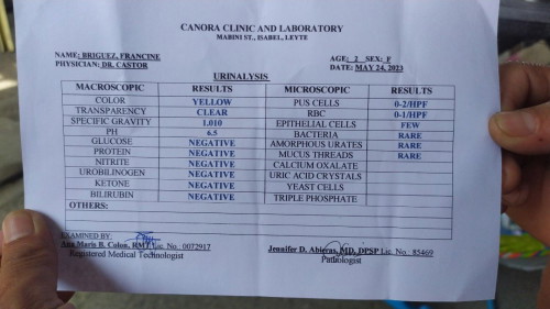 Uti lab result