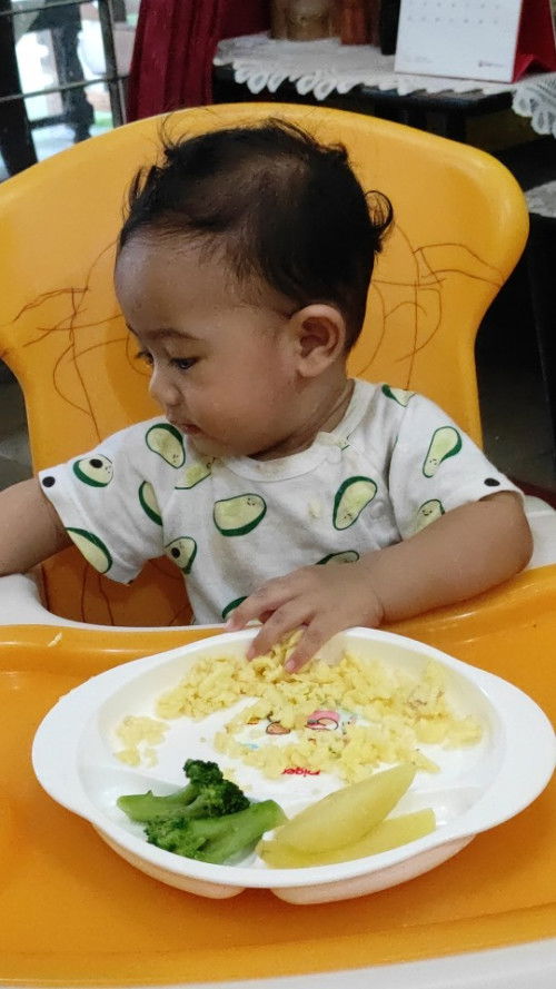 BLW mix bubur bayi bikinan sendiri buat bayi 8 bulan