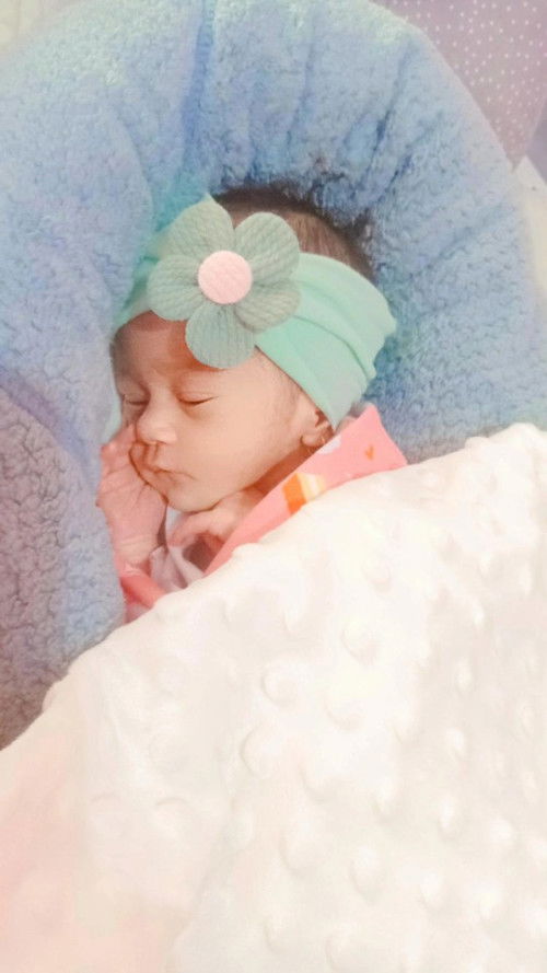 HPL 07jun , Launching 19mei