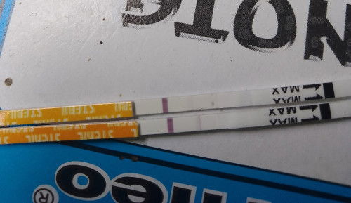 hamil lagi setelah Bo