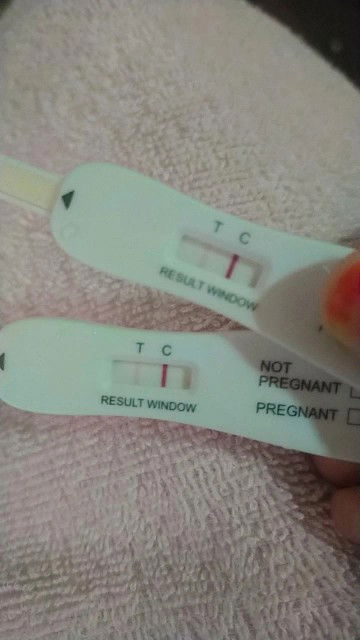 Pregnancy test