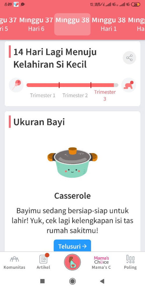 Seputar kehamilan