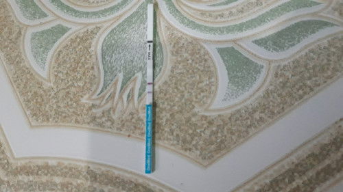 Telat 1 bulan langsung cek