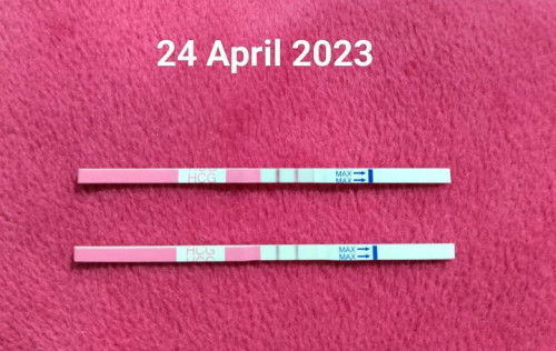 Kehamilan / usia kehamilan