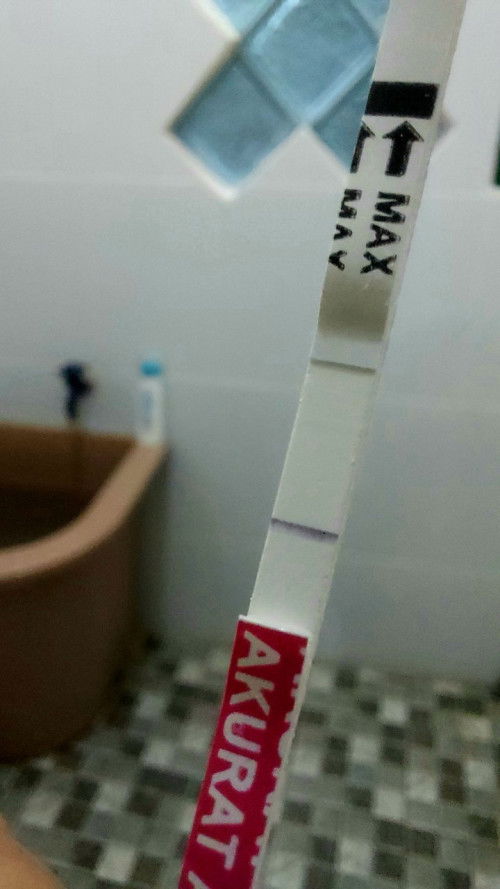 Hasil testpack sebelum telat haid