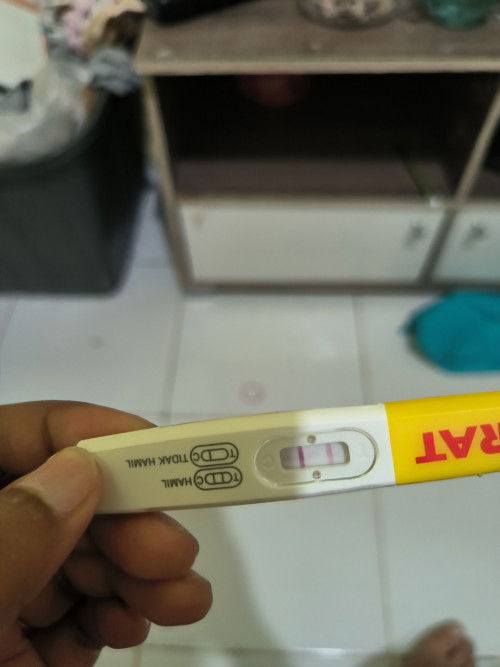 Hamil atau tidak