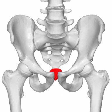 ปวดก้นกบมาก