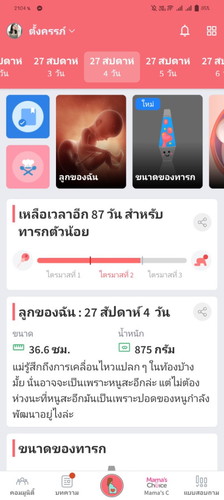 27สัปดาห์4วัน
