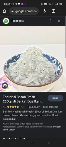 Teri basah