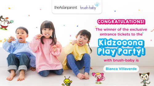Kidzoona Play Party with brush-baby