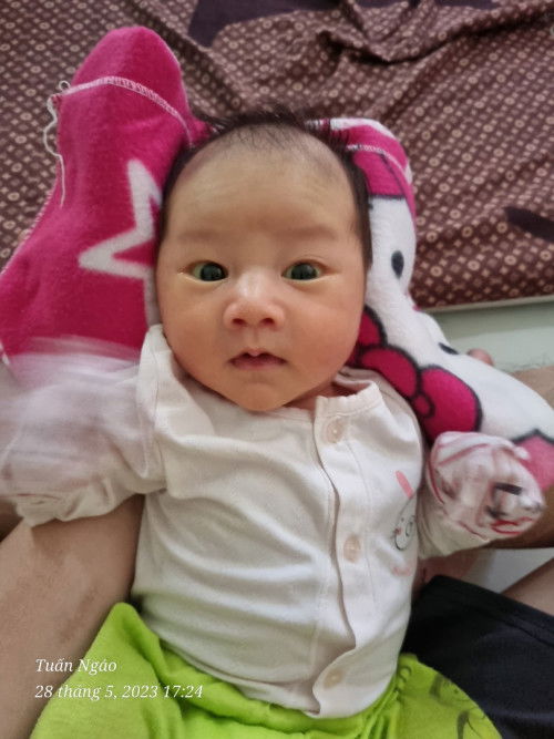 Không đi vệ sinh