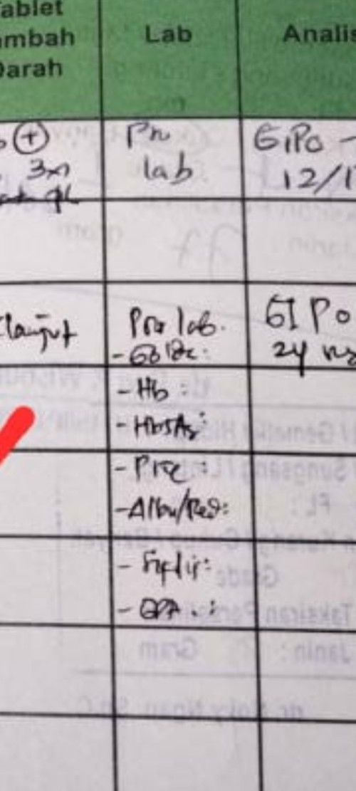 Biaya Cek Lab Mandiri?