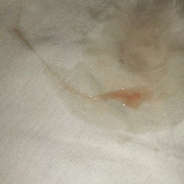 Apakah ini tanda mau melahirkan bun, hol 27mei kemaren