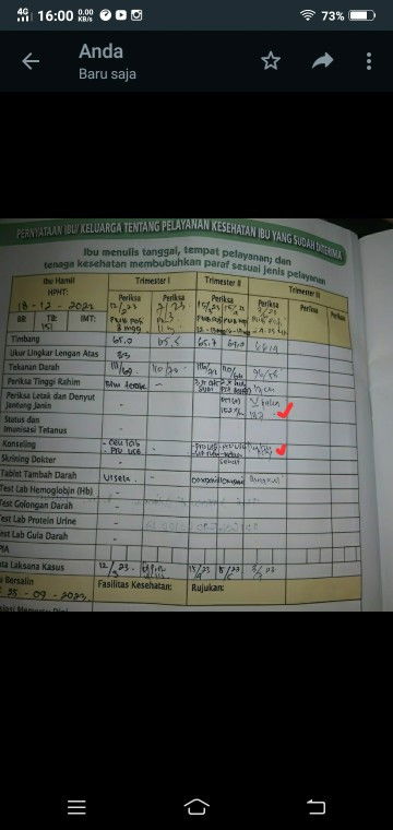 Mau tanya arti tulisan bidan