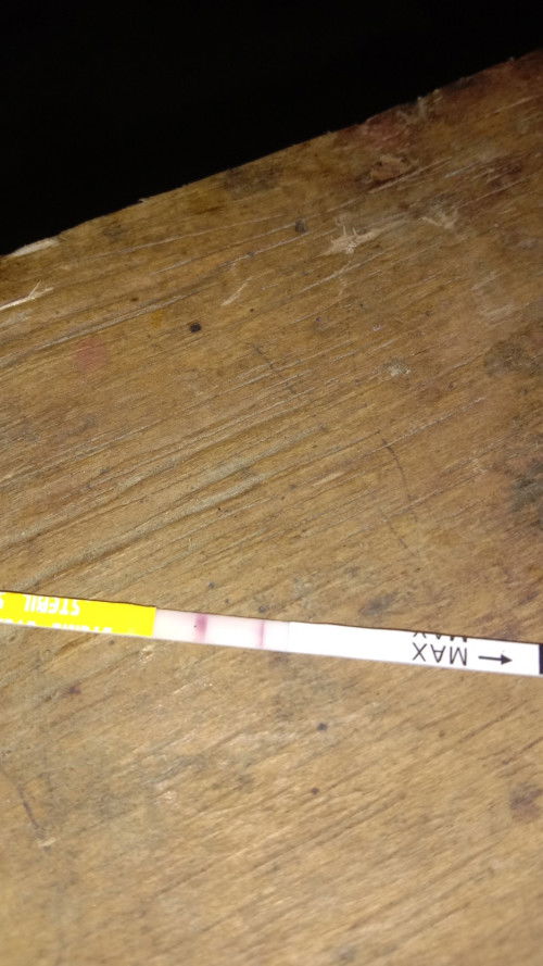 Bun aku hpht y 27 spril aku tes udah garis 2 .kira2 udah brpa usia khamilaan y