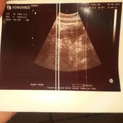 Barang x ada yg sama .