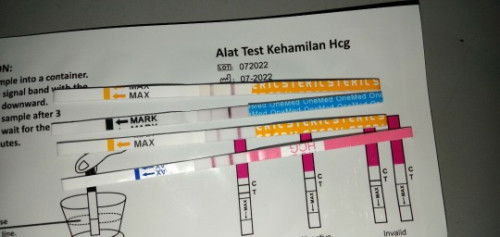Hamil lagi setelah keguguran